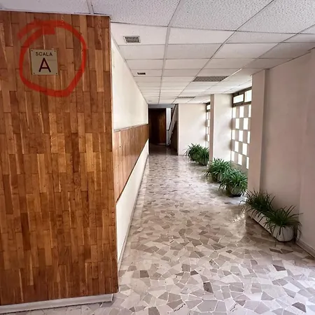 Lisa House بيت شباب روما